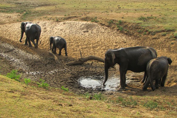 Sri Lanka
